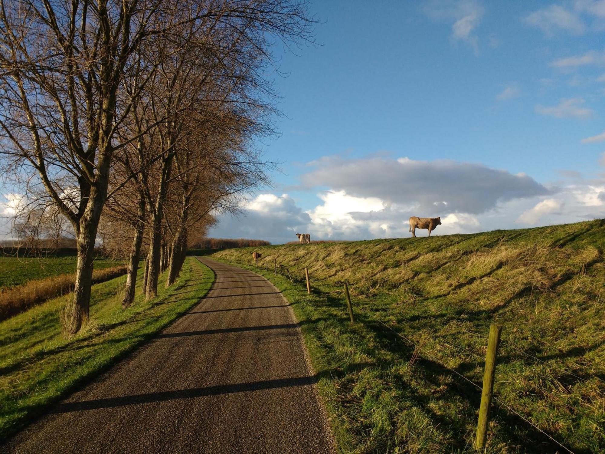 Sturjalland Sirjansland